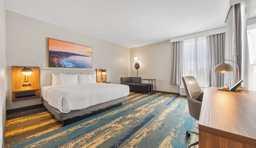 Standard Room, 1 King Bed, Non Smoking (Shower)