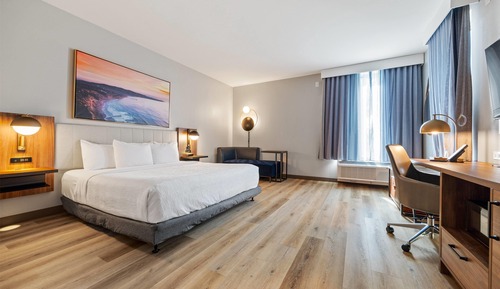 Room, 1 King Bed, Accessible, Non Smoking (Shower)