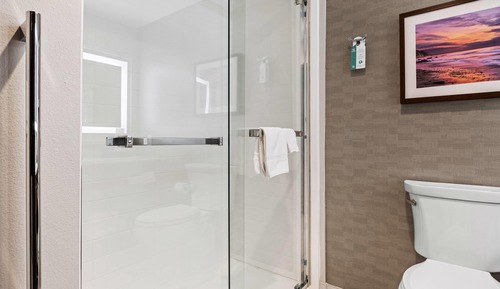 Deluxe Room, 1 King Bed, Non Smoking (Shower)