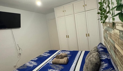 Basic Double Room, 1 Double Bed