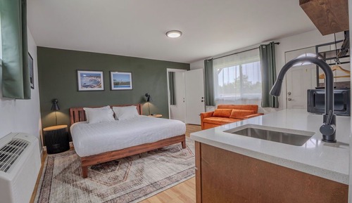 Studio, 1 King Bed with Sofa bed