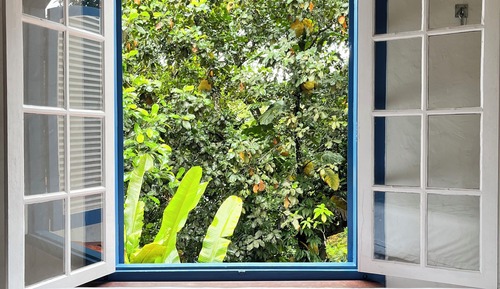 Classic com Vista Mata