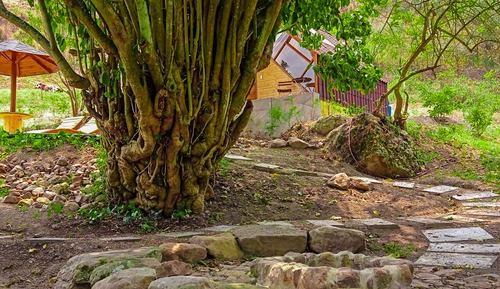 Deluxe Cabin, Garden View