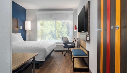 Room, 1 King Bed