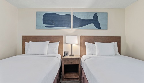 1 Bedroom Suite Two Double Beds w/ Sofa Sleeper No View