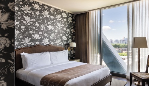 Room, 1 King Bed, Terrace