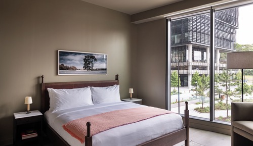 Room, Multiple Beds, Mobility Accessible, Park View