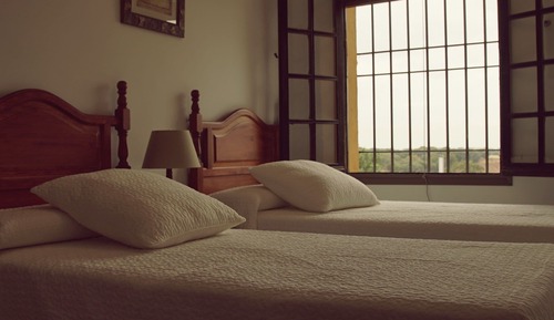 Classic Twin Room, Garden View