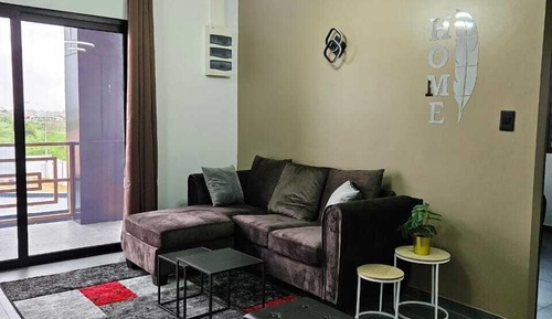 Deluxe Apartment, Pool View