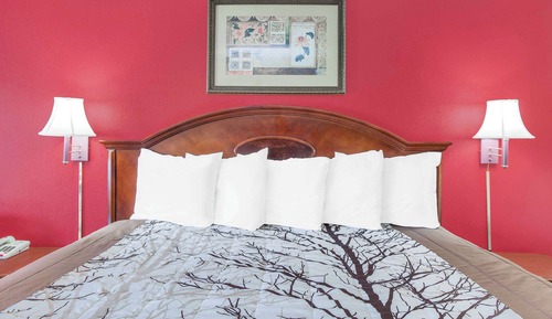 Room, 1 King Bed, Smoking