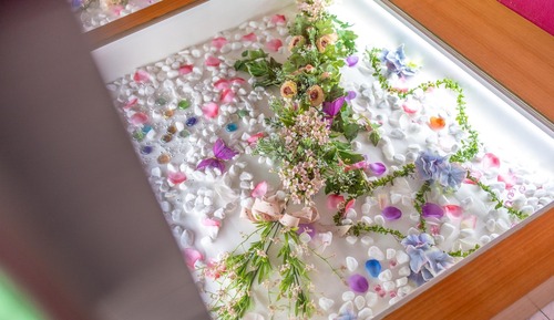 Basic Room, 1 Bedroom (Peony pension)