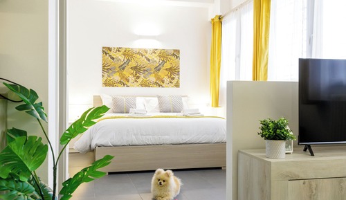 Superior Apartment, 1 Queen Bed with Sofa bed, Private Bathroom