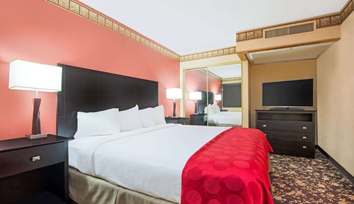 Room, 1 King Bed (Atrium View)