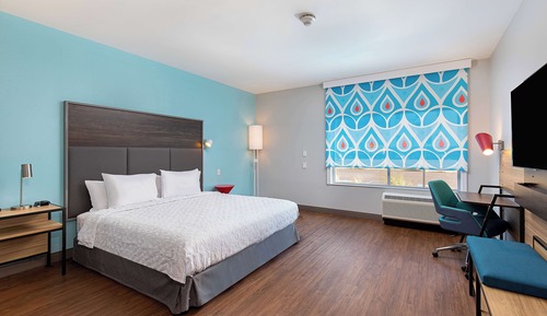 Room, 1 King Bed, Accessible (Roll-In Shower)