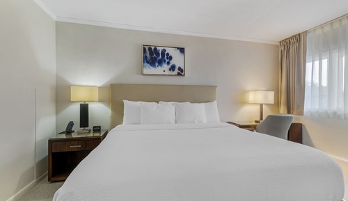 1 King Bed Pool View