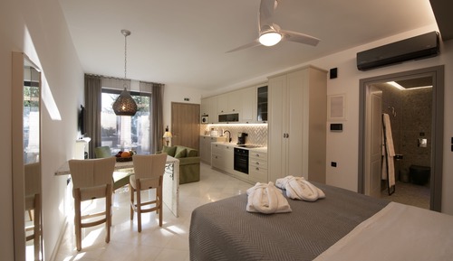 Deluxe Studio Suite, 1 Queen Bed, Garden View, Garden Area