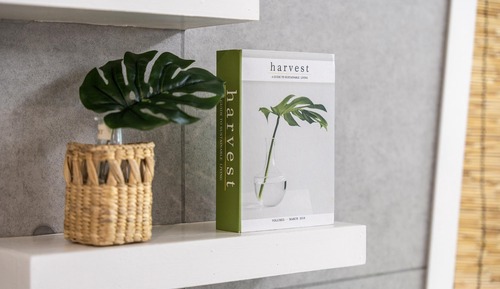 Basic Room, 1 Bedroom (A-101(SPA))