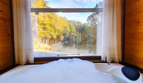 Honeymoon Cabin, Jetted Tub, Lake View