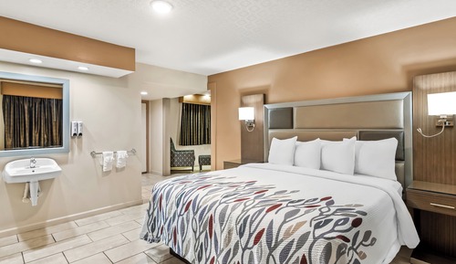 Superior Room, 1 King Bed, Accessible, Non Smoking (Roll-In Shower)