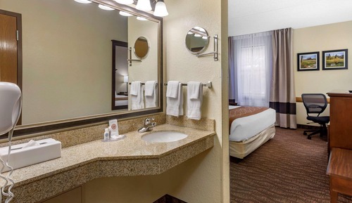 Room, 1 King Bed, Accessible, Non Smoking (Roll In Shower)