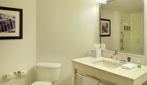 Deluxe Suite, 1 Bedroom