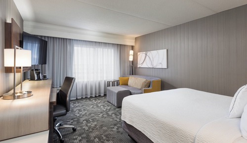 Room, 1 King Bed with Sofa bed