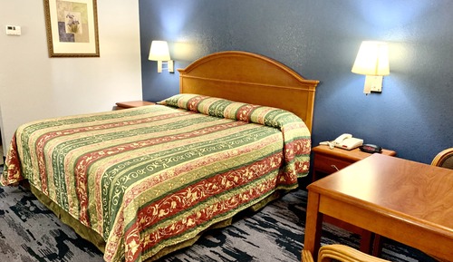 Room, 1 King Bed
