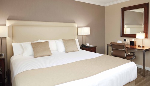 Standard Room, 1 King Bed, Accessible