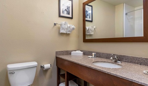 Room, 1 King Bed, Non Smoking (Efficiency, Pet Friendly)