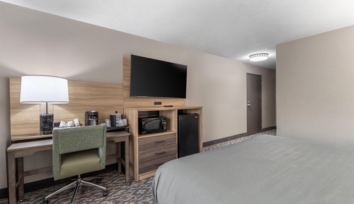 Standard Room, 1 King Bed, Accessible, Refrigerator & Microwave (Walk-in Shower)