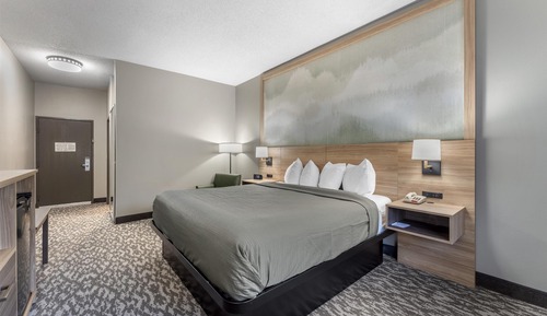 Standard Room, 1 King Bed, Non Smoking, Refrigerator & Microwave