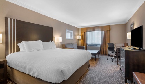 Business Suite, 1 King Bed, Non Smoking, Refrigerator & Microwave (with Sofabed)