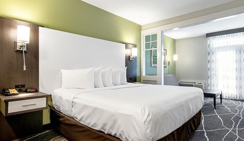 Standard Room, 1 King Bed with Sofa bed, Non Smoking (2 Person Sofabed)