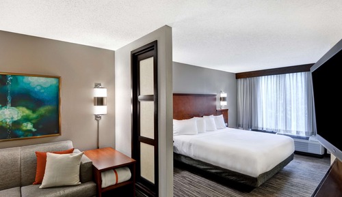 Room, 1 King Bed, Accessible, Bathtub