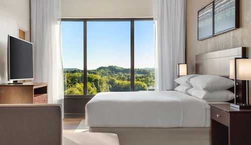 Room, 1 King Bed with Sofa bed