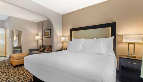 Suite, 1 King Bed with Sofa bed, Non Smoking, Microwave (with Sofabed)