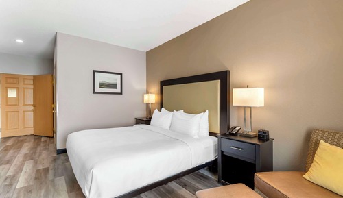 Standard Room, 1 King Bed, Accessible, Non Smoking