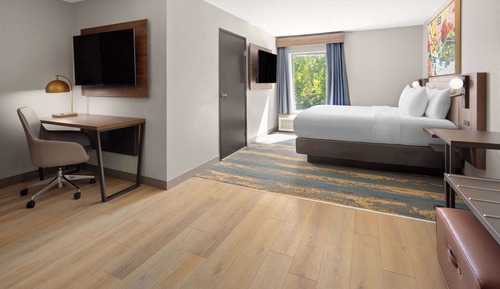 Room, 1 King Bed, Non Smoking (Oversized)