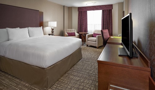 Room, 1 King Bed