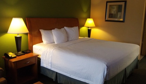 Room, 1 King Bed, Smoking