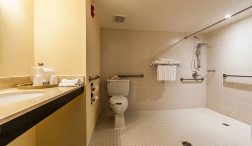 Standard Room, 1 King Bed, Accessible (Mobility, Roll-In Shower)