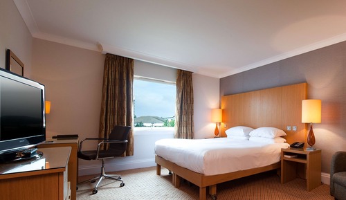 Room, 1 King Bed