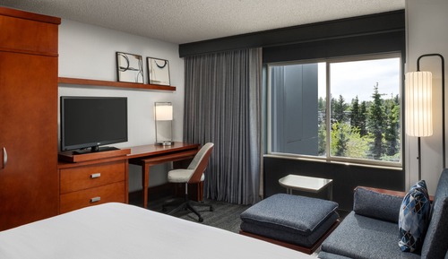 Room, 1 King Bed, Non Smoking (Hearing Accessible)