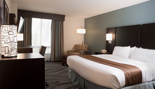 Standard Room, 1 King Bed, Accessible (Mobility, Accessible Tub)