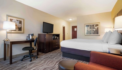 Standard Room, 1 King Bed, Non Smoking, Refrigerator & Microwave (Pet Friendly)