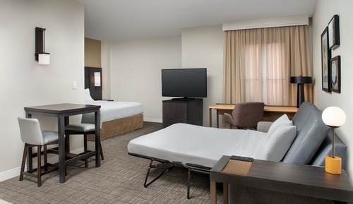 Studio, 1 King Bed with Sofa bed