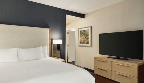 Suite, 1 King Bed with Sofa bed
