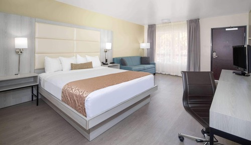 1 King Bed with Sofa bed, Non Smoking