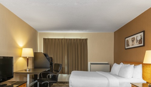 Standard Room, 1 Queen Bed, Non Smoking