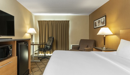Room, 1 King Bed, Non Smoking